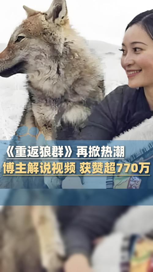 91免费观看视频app下载的相关介绍