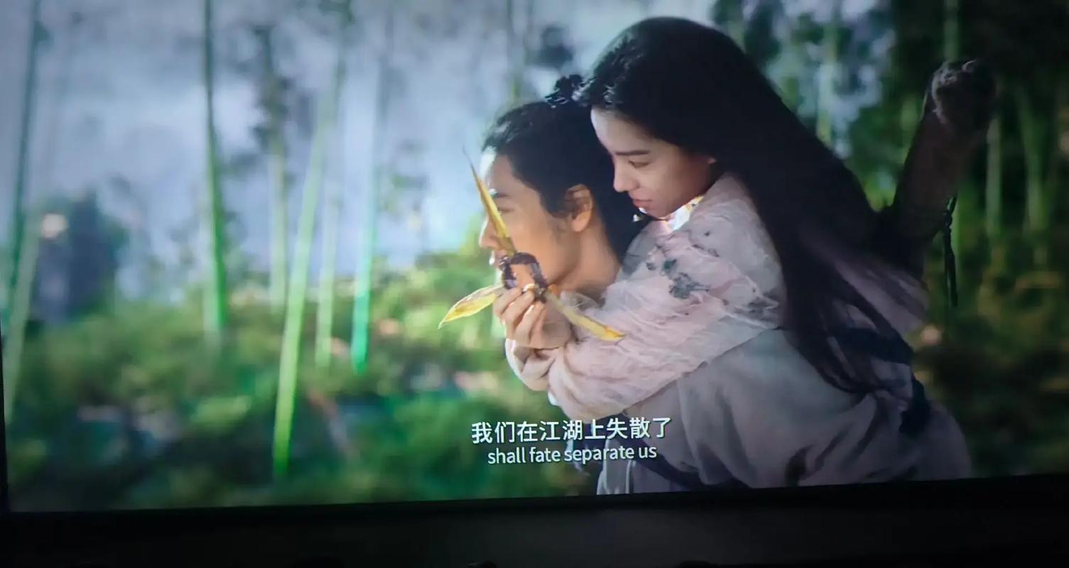 欧美成人护士在线观看的相关介绍