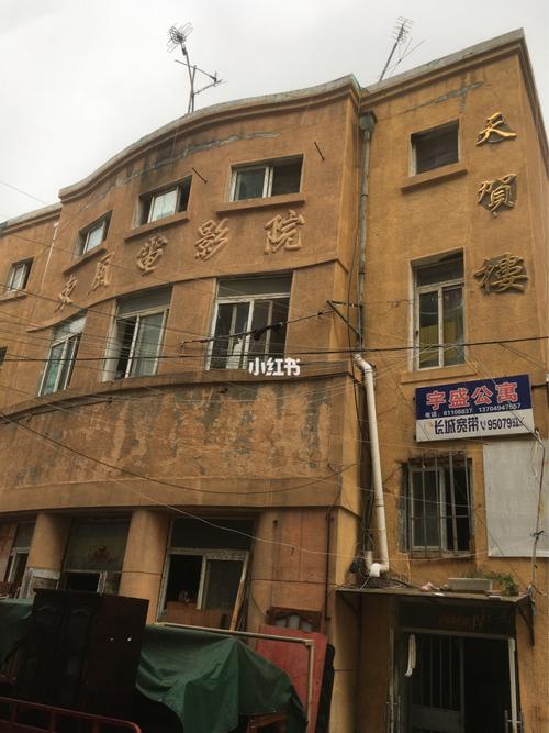 强制爱大尺度小说的相关介绍