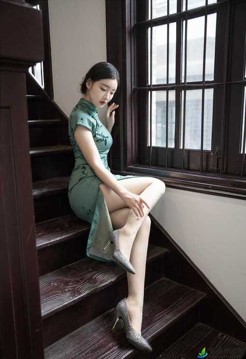 欧美熟妇乱大交xxxxxx的相关介绍