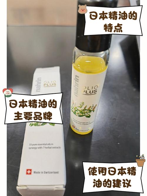 午夜在线福利的相关介绍