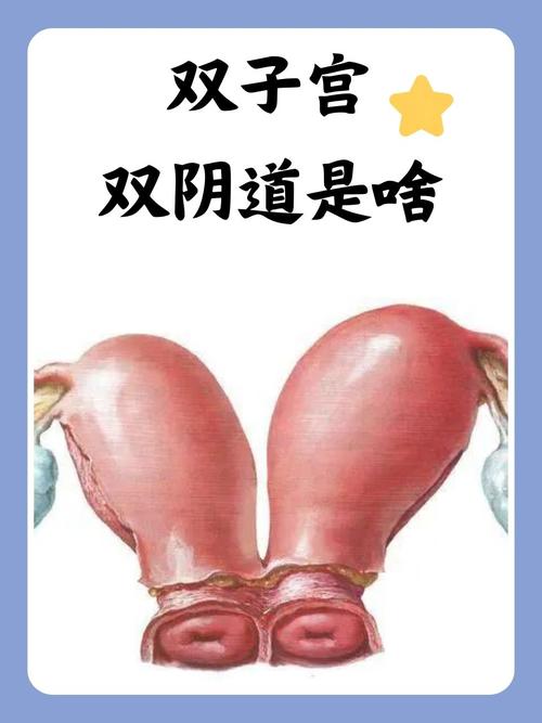 日本av江波的相关介绍