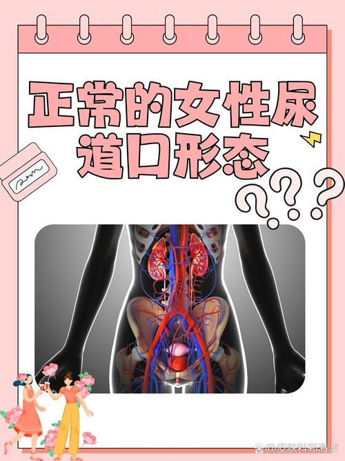 色婷婷国产精品自拍的相关介绍