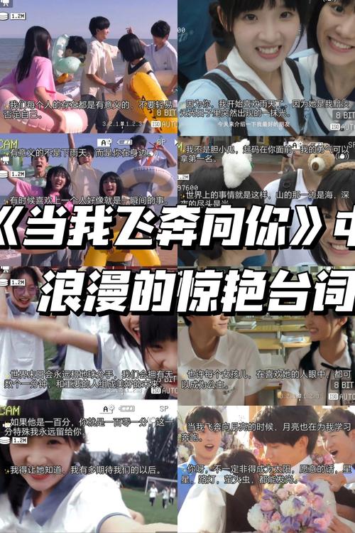 欧美成年人网站在线的相关介绍